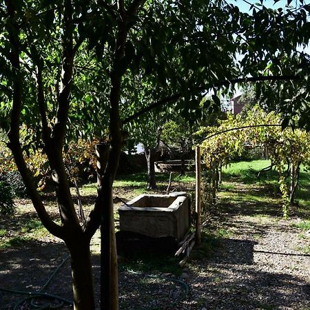 Casa Dona Amelia Villa Idanha-a-Nova Eksteriør bilde